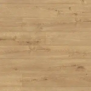 Sunset Oak Long & Wide