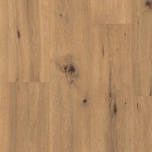 Knight Oak - Sample